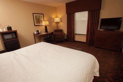 Hampton Inn By Hilton Elmira image 50